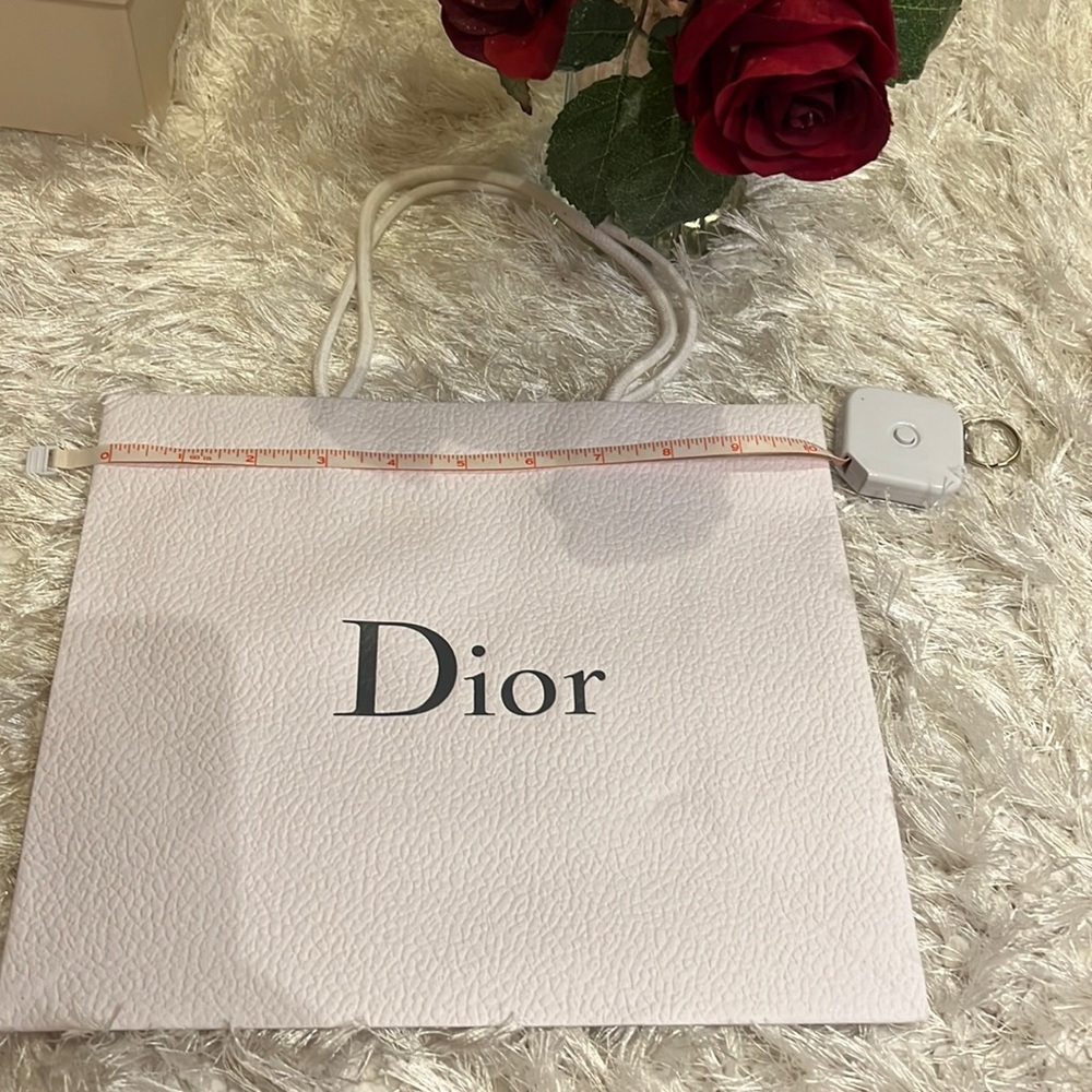 Dior paper bag. Perfect for a perfume or sunglasses gift.